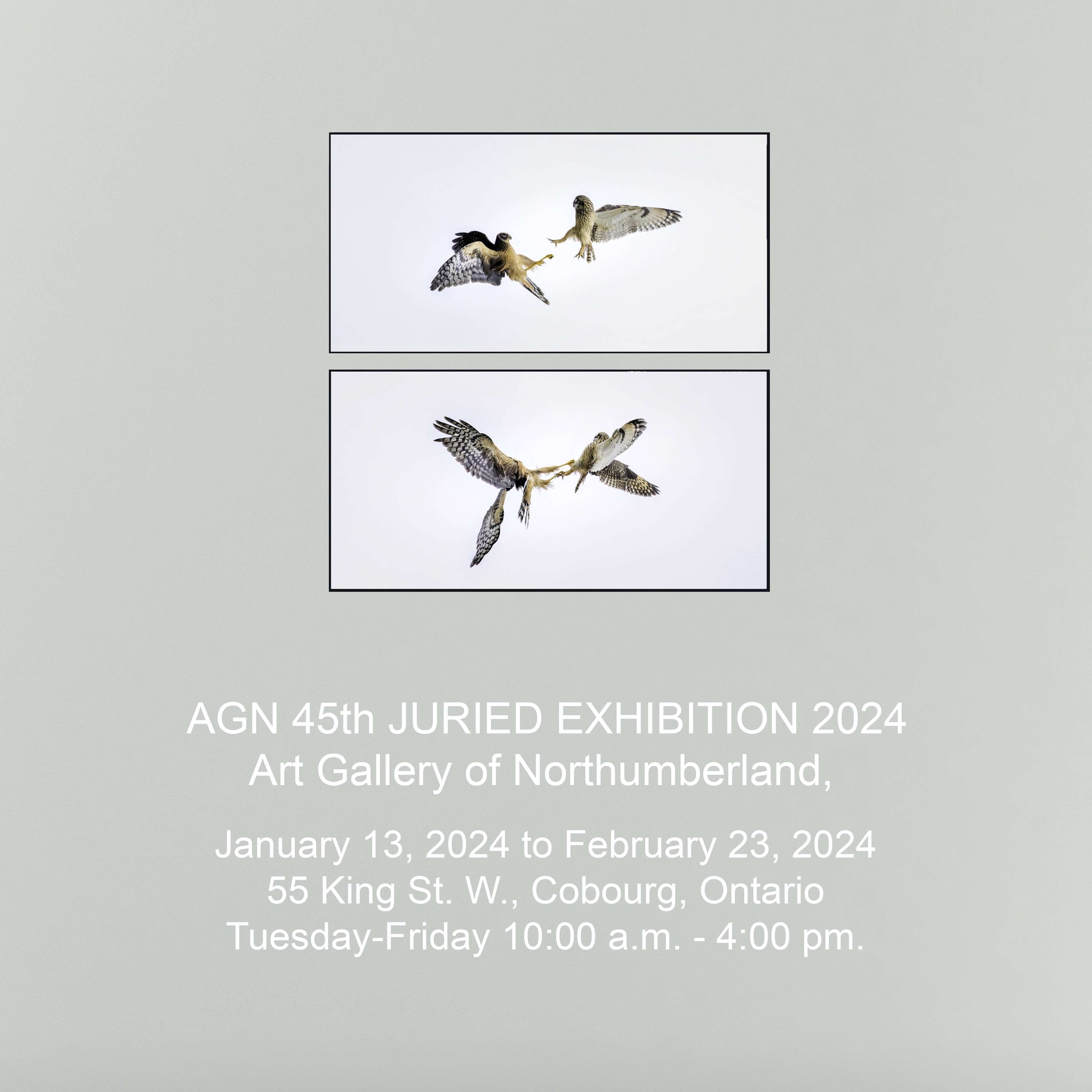 GalleryWall2.jpg
