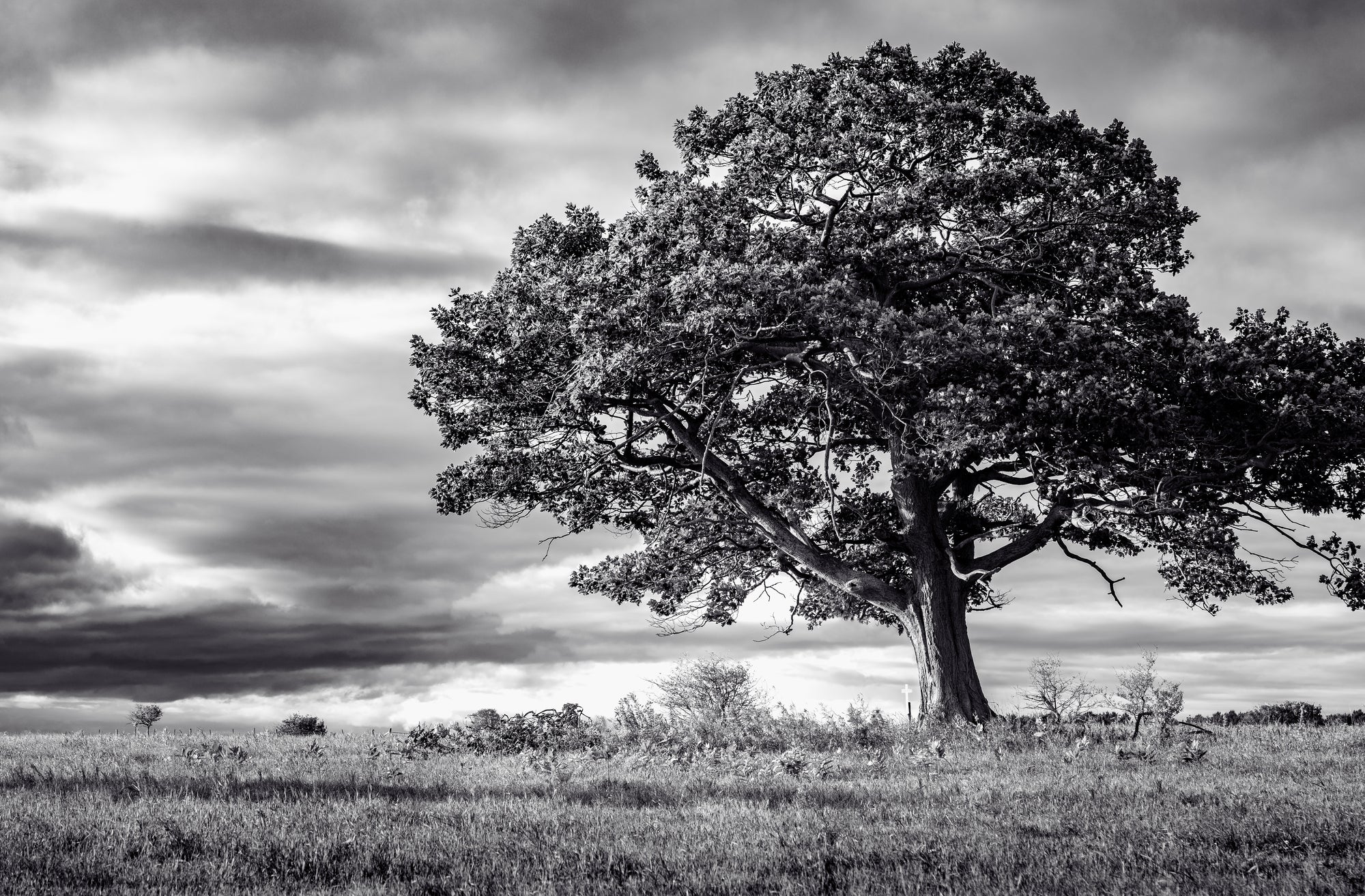 Resting Place